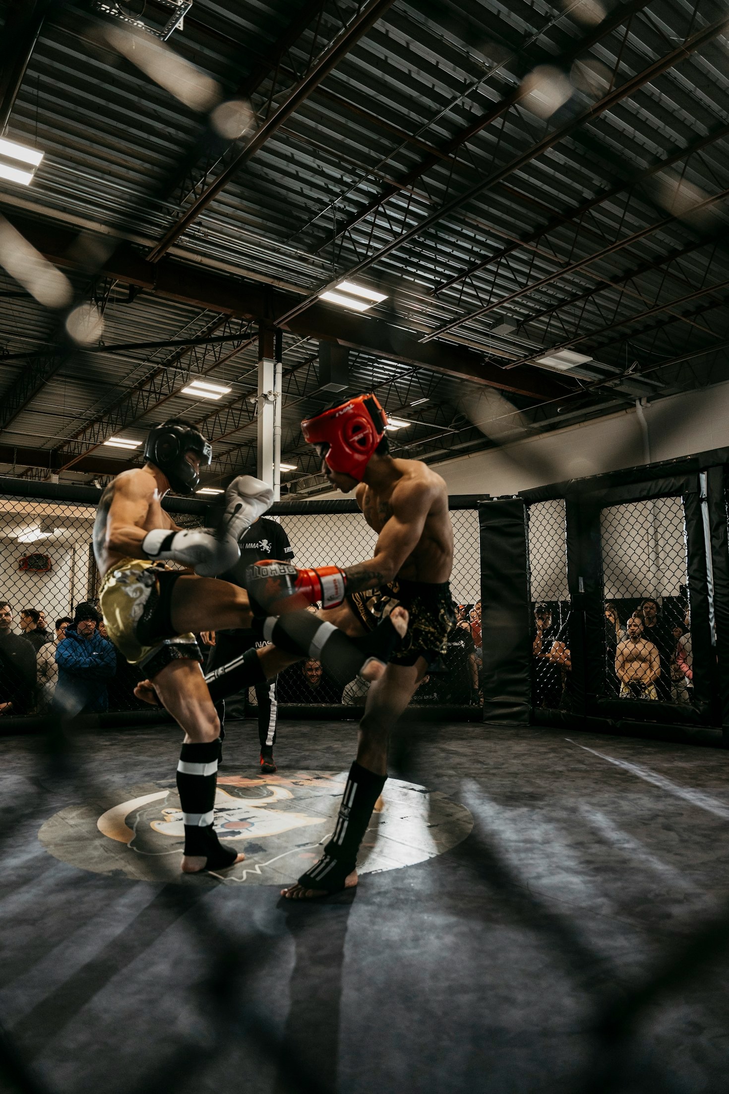 5 Petarung MMA yang Menginspirasi